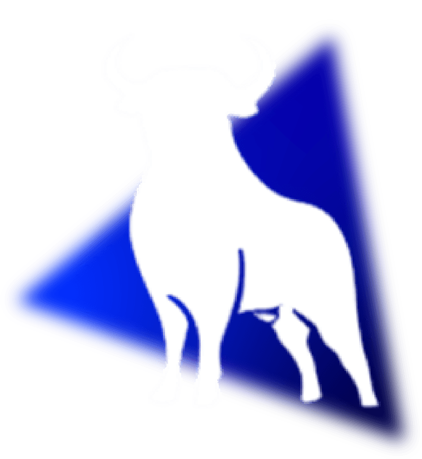 Toro CAPMARKETING